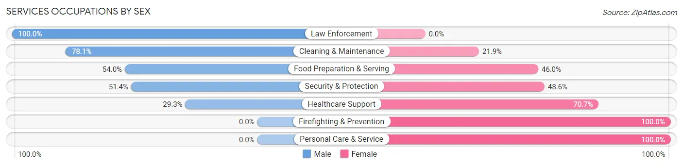 Services Occupations by Sex in Lewis County