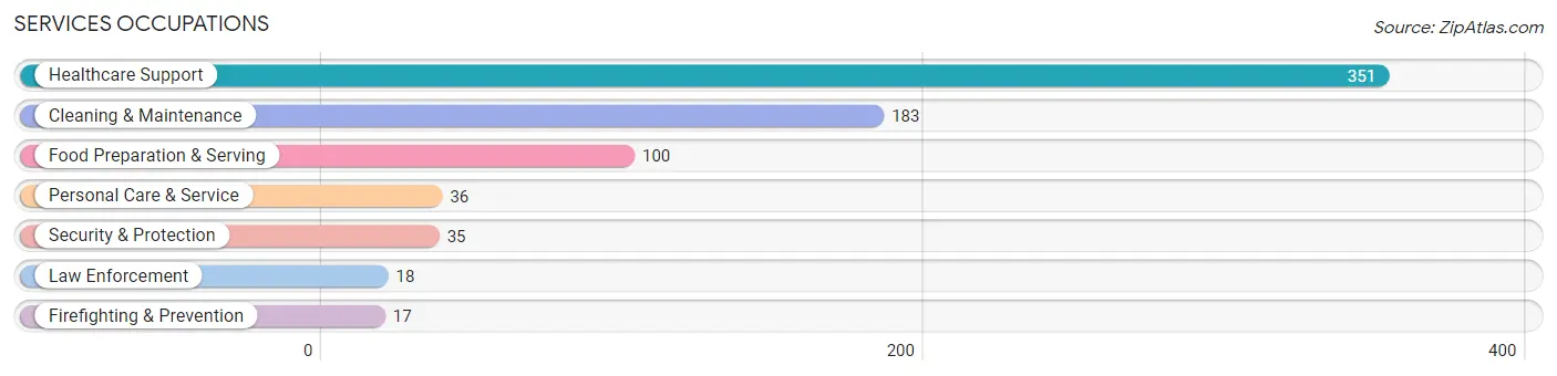 Services Occupations in Lewis County