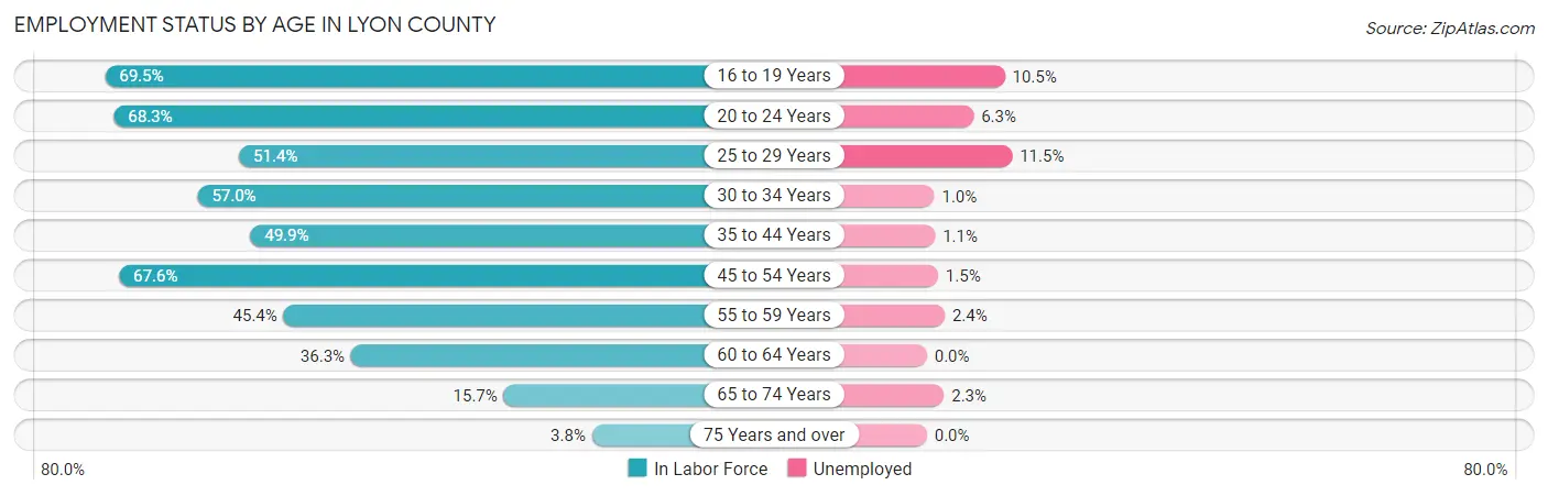 Employment Status by Age in Lyon County
