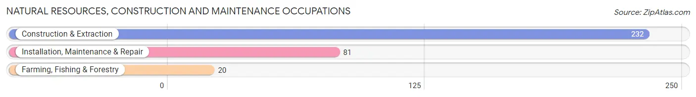 Natural Resources, Construction and Maintenance Occupations in Lyon County