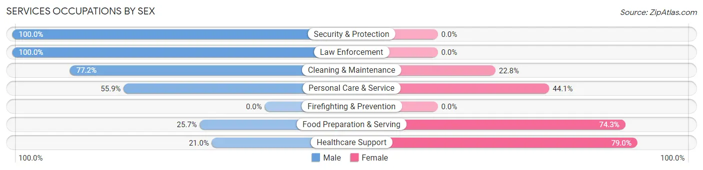 Services Occupations by Sex in Magoffin County