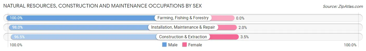Natural Resources, Construction and Maintenance Occupations by Sex in Marshall County