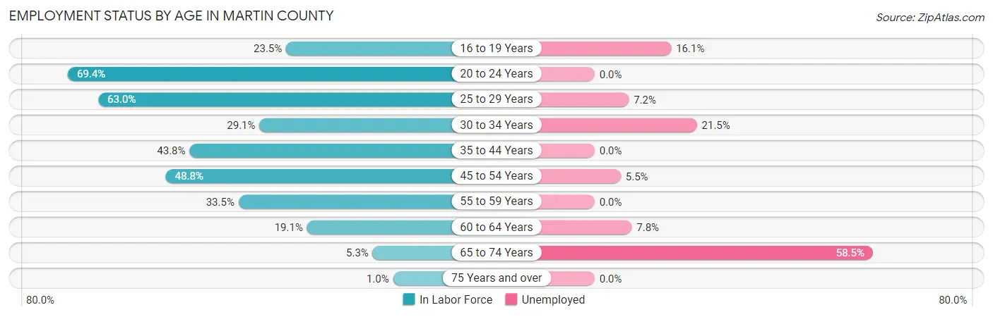 Employment Status by Age in Martin County