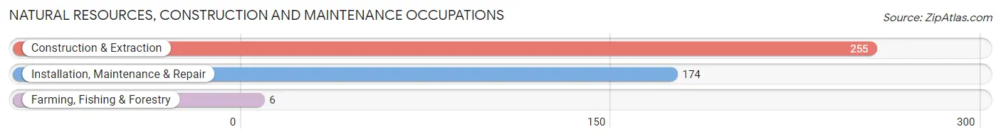 Natural Resources, Construction and Maintenance Occupations in Martin County