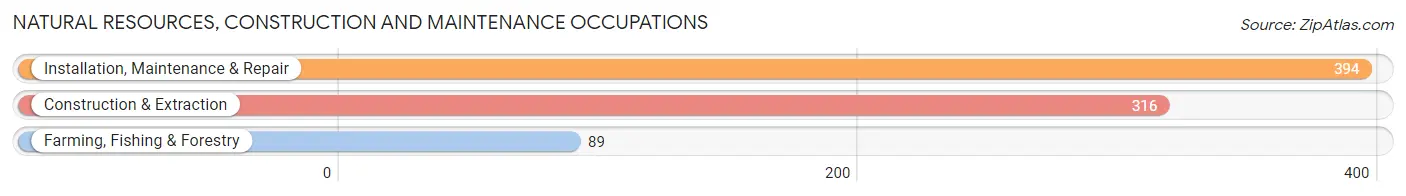 Natural Resources, Construction and Maintenance Occupations in Mason County