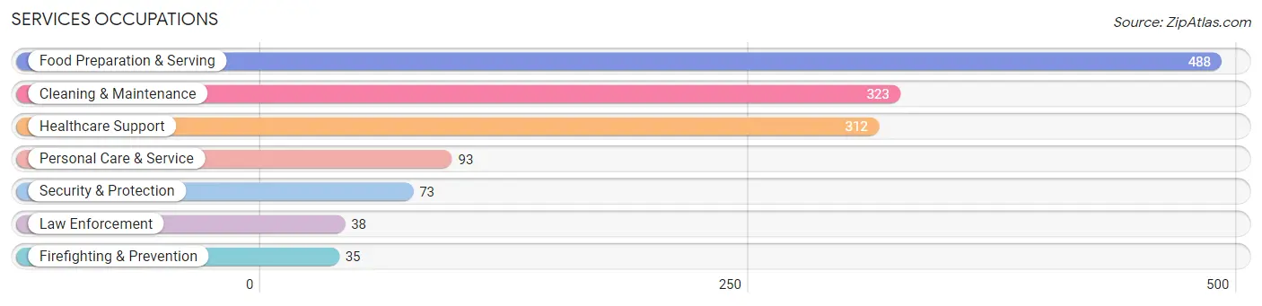 Services Occupations in Mason County