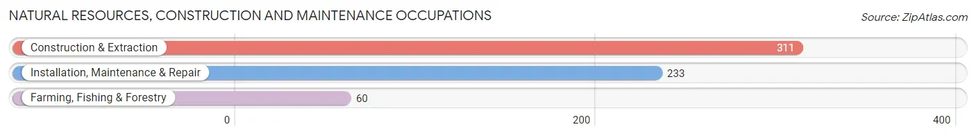 Natural Resources, Construction and Maintenance Occupations in McLean County