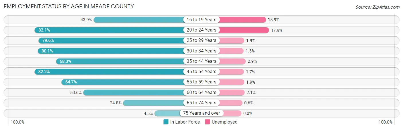 Employment Status by Age in Meade County