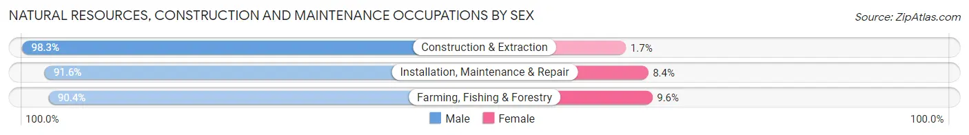 Natural Resources, Construction and Maintenance Occupations by Sex in Mercer County