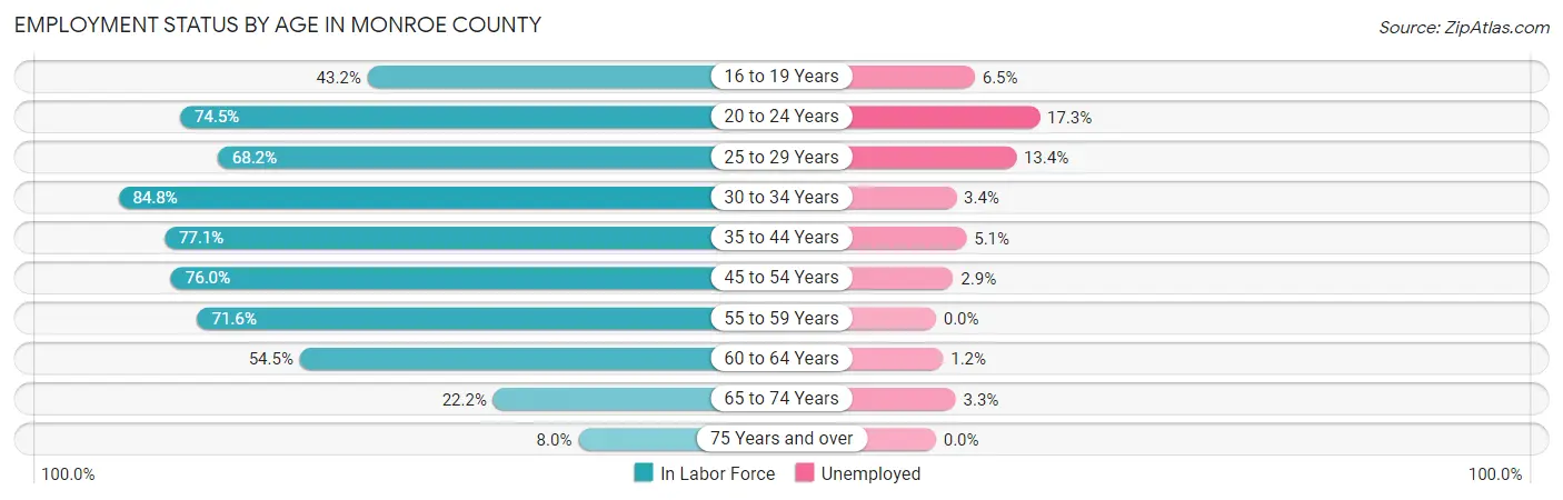 Employment Status by Age in Monroe County