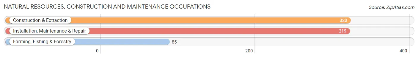 Natural Resources, Construction and Maintenance Occupations in Monroe County