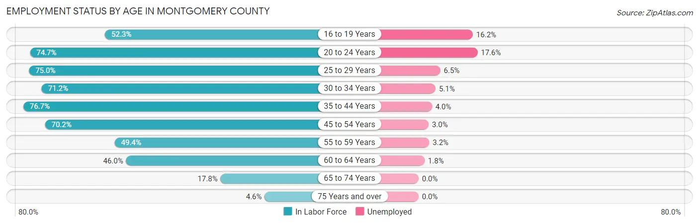 Employment Status by Age in Montgomery County