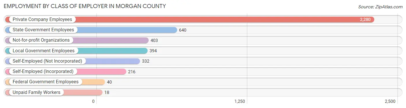 Employment by Class of Employer in Morgan County
