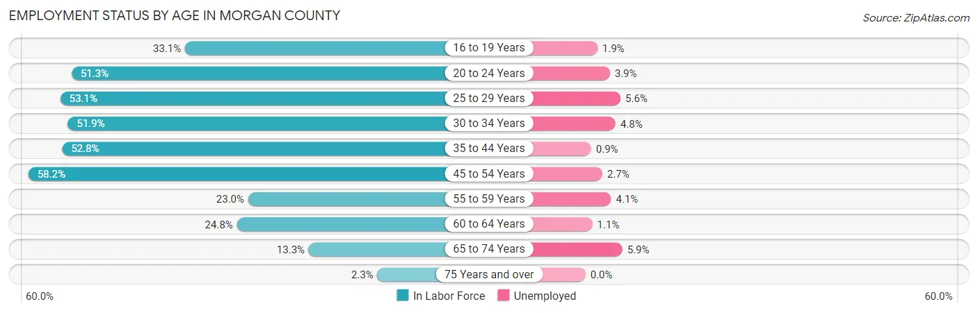 Employment Status by Age in Morgan County