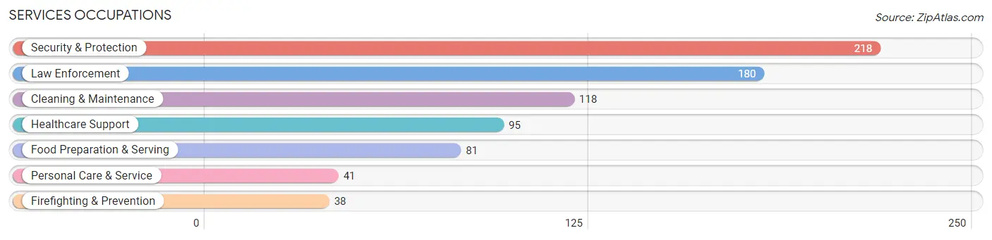 Services Occupations in Morgan County