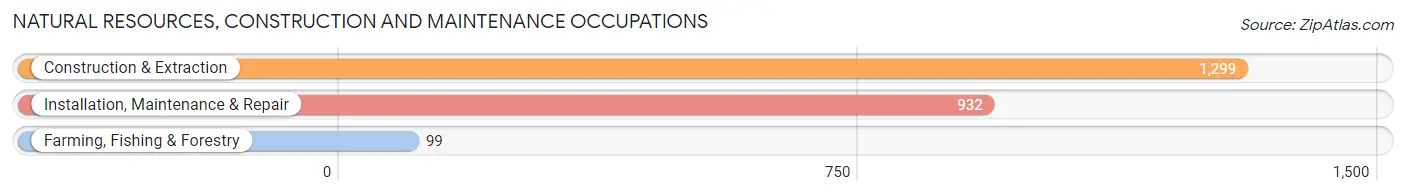 Natural Resources, Construction and Maintenance Occupations in Nelson County