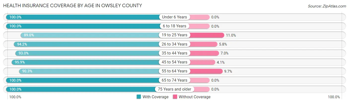 Health Insurance Coverage by Age in Owsley County