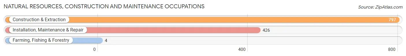 Natural Resources, Construction and Maintenance Occupations in Perry County