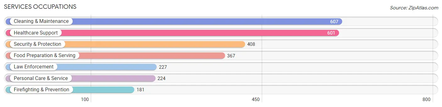 Services Occupations in Perry County