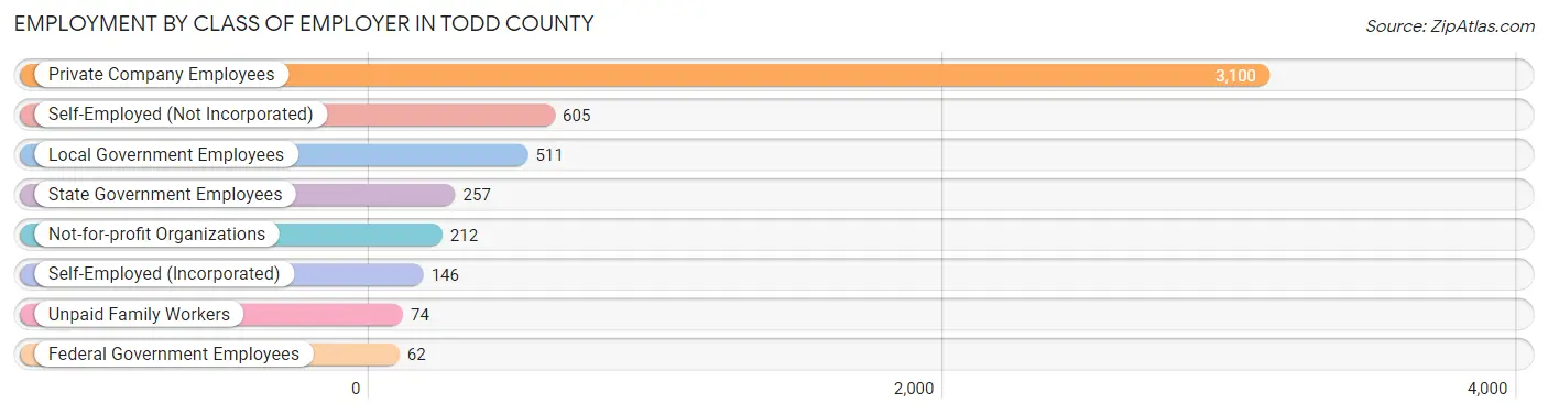 Employment by Class of Employer in Todd County