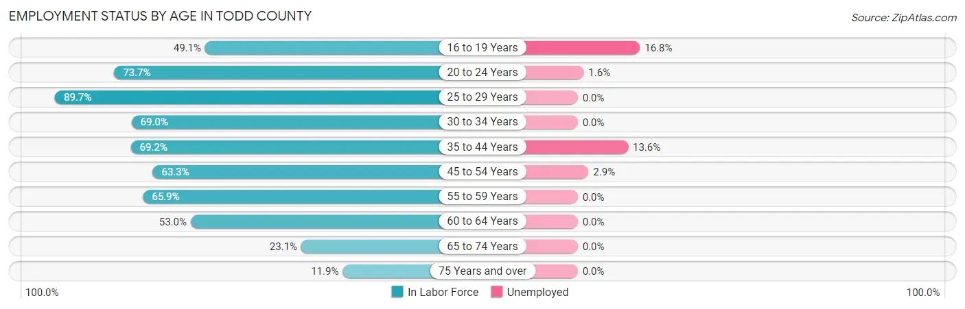 Employment Status by Age in Todd County