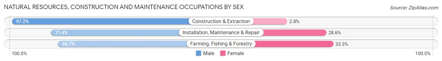 Natural Resources, Construction and Maintenance Occupations by Sex in Trigg County