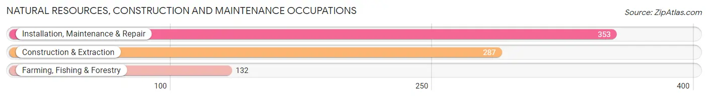 Natural Resources, Construction and Maintenance Occupations in Trigg County