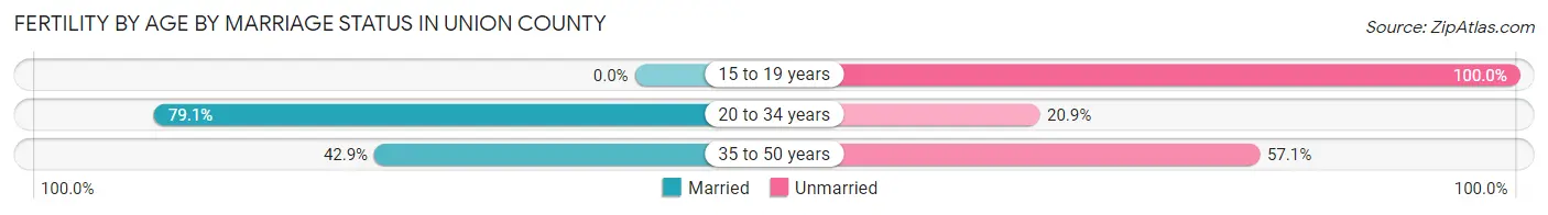 Female Fertility by Age by Marriage Status in Union County