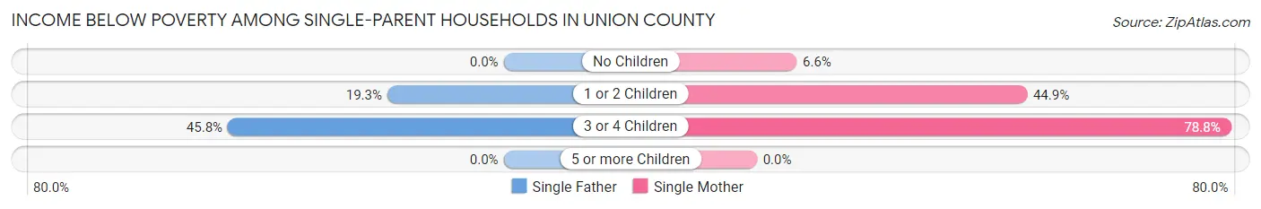 Income Below Poverty Among Single-Parent Households in Union County