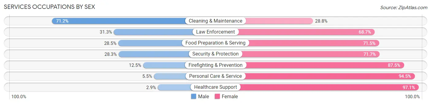 Services Occupations by Sex in Union County