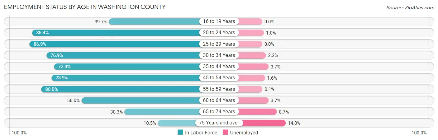 Employment Status by Age in Washington County