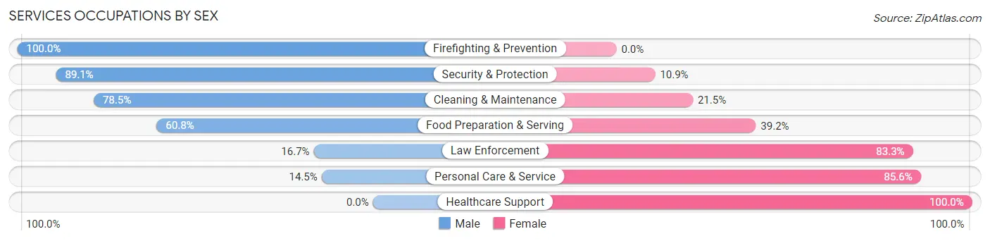 Services Occupations by Sex in Washington County