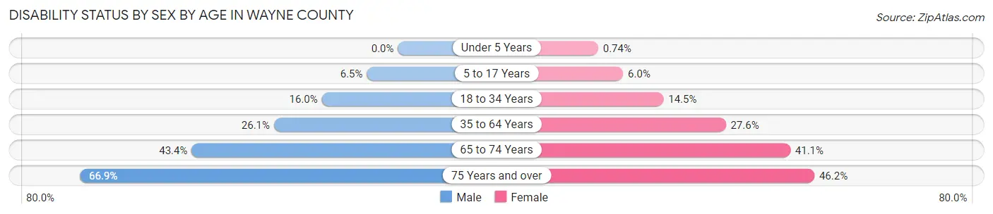 Disability Status by Sex by Age in Wayne County