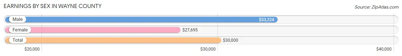 Earnings by Sex in Wayne County