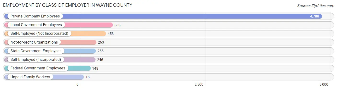 Employment by Class of Employer in Wayne County