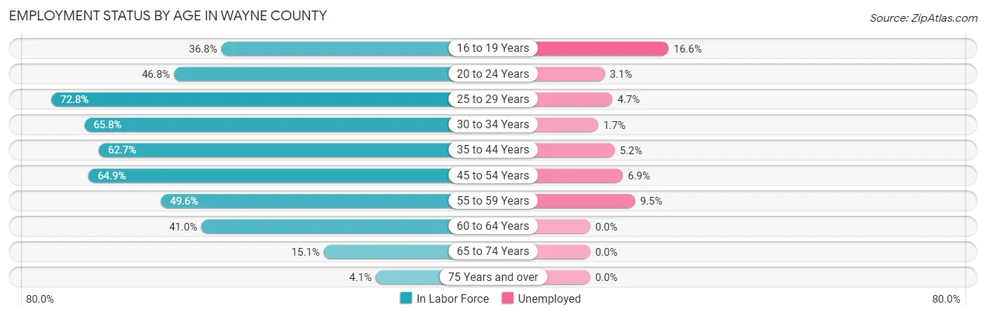 Employment Status by Age in Wayne County