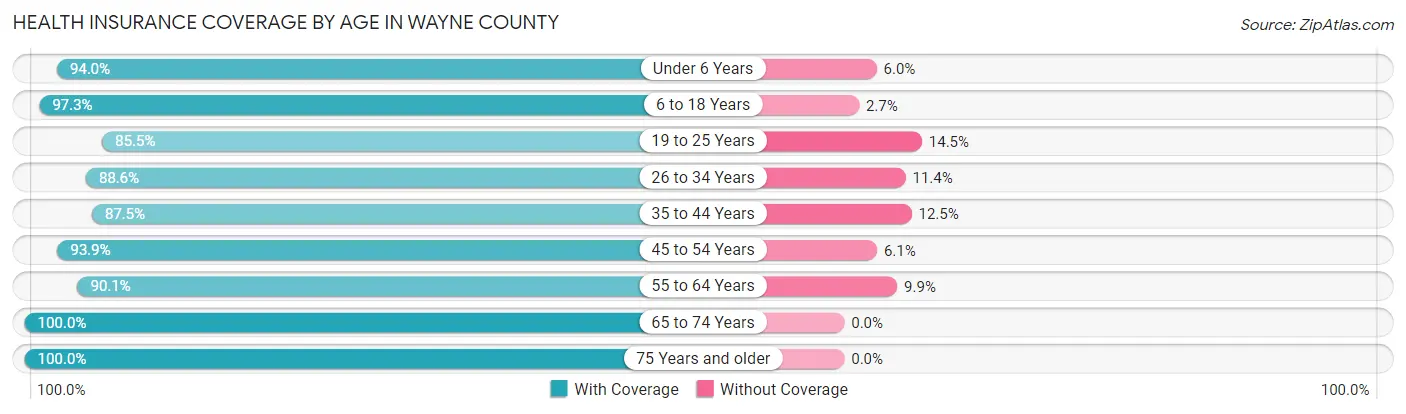 Health Insurance Coverage by Age in Wayne County