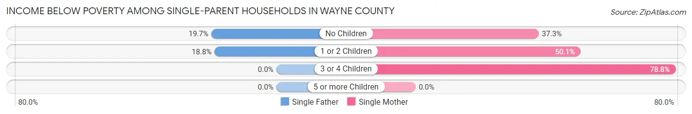 Income Below Poverty Among Single-Parent Households in Wayne County