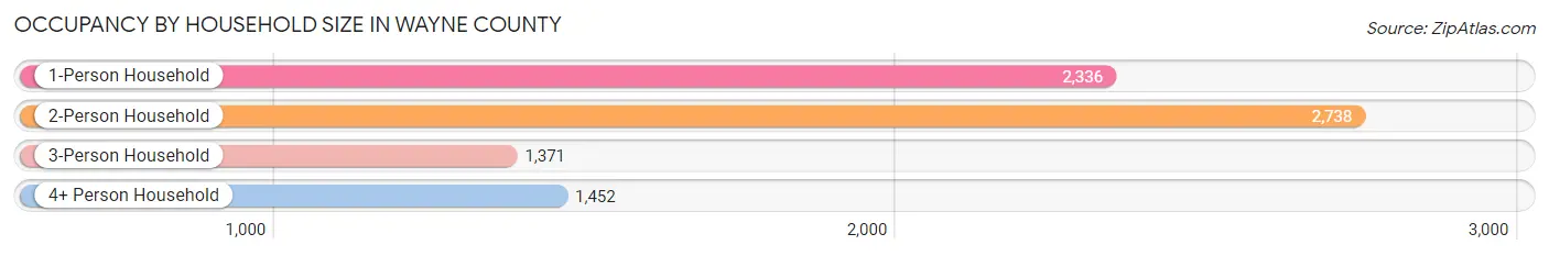 Occupancy by Household Size in Wayne County