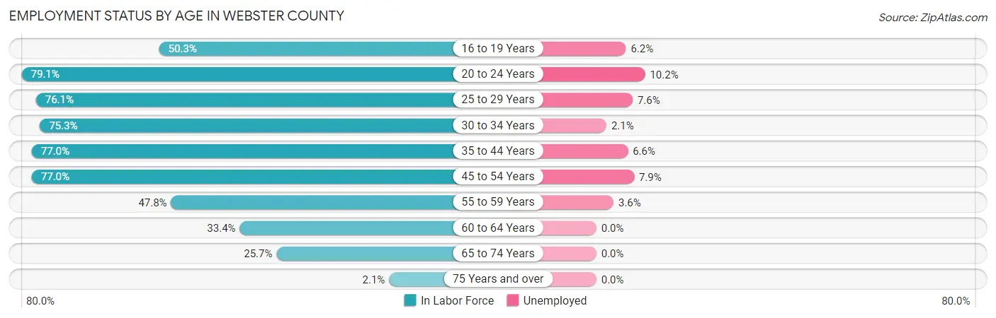 Employment Status by Age in Webster County
