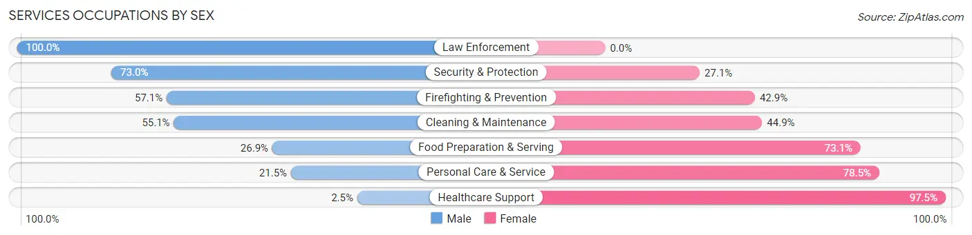 Services Occupations by Sex in Webster County