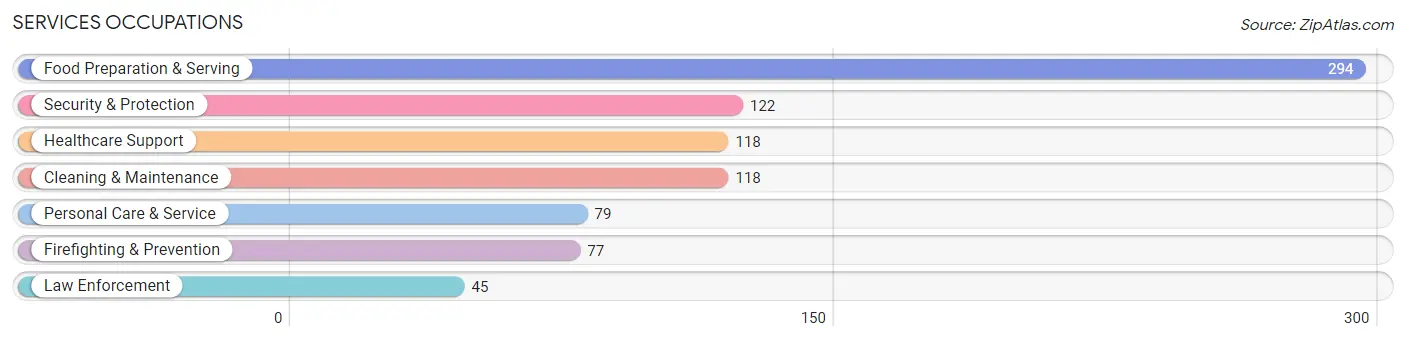 Services Occupations in Webster County