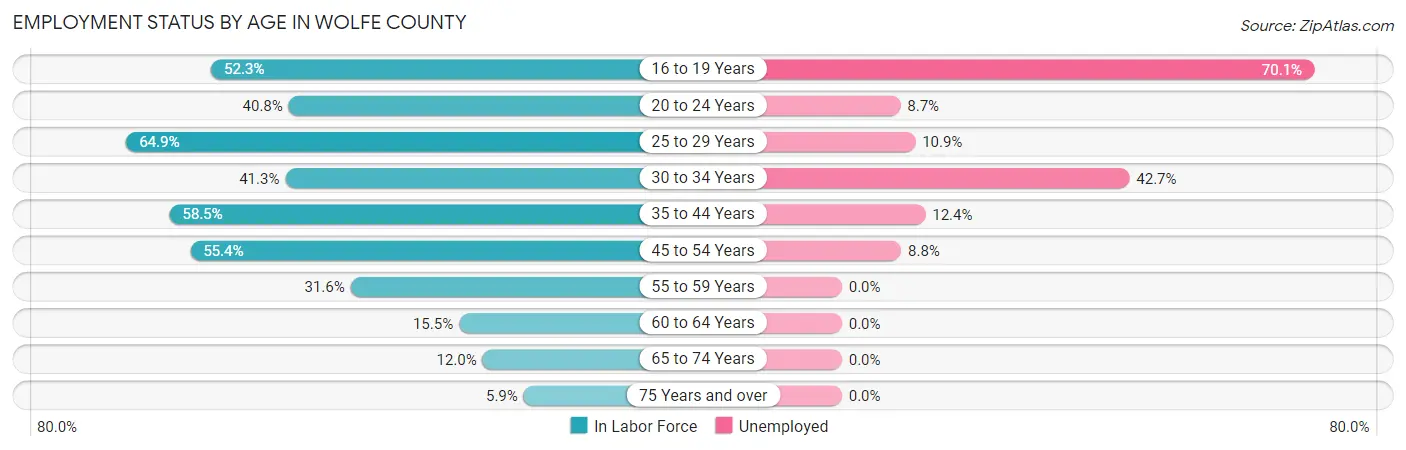 Employment Status by Age in Wolfe County