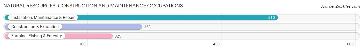 Natural Resources, Construction and Maintenance Occupations in Woodford County