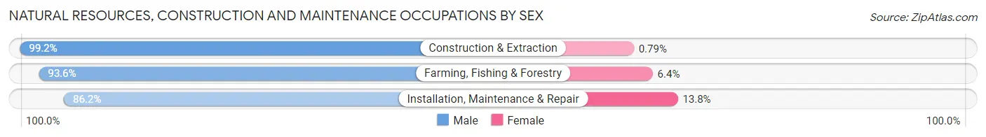 Natural Resources, Construction and Maintenance Occupations by Sex in Morehouse Parish
