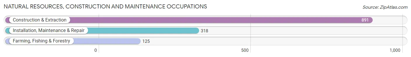 Natural Resources, Construction and Maintenance Occupations in Morehouse Parish