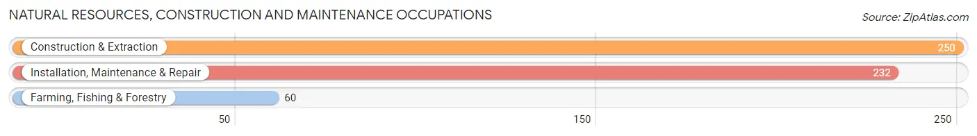 Natural Resources, Construction and Maintenance Occupations in Red River Parish