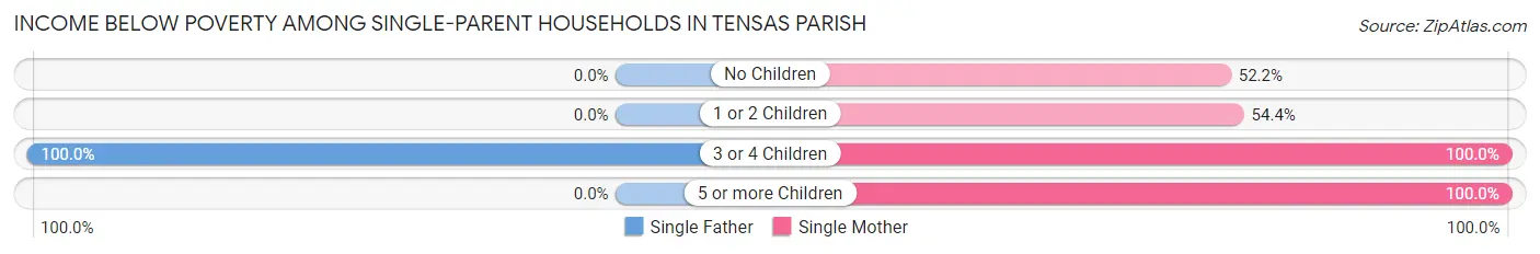 Income Below Poverty Among Single-Parent Households in Tensas Parish
