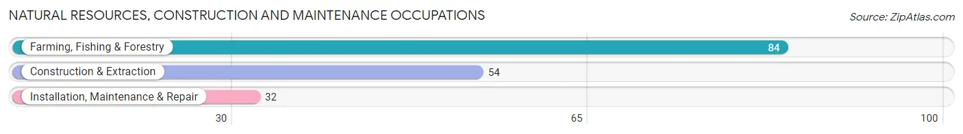 Natural Resources, Construction and Maintenance Occupations in Tensas Parish