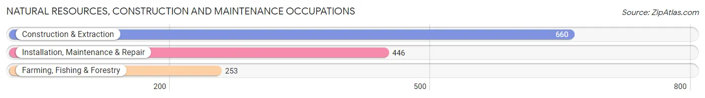 Natural Resources, Construction and Maintenance Occupations in Union Parish